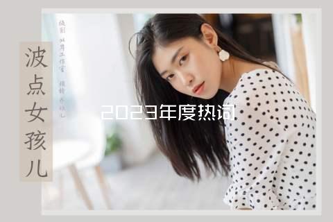 2023年度热词